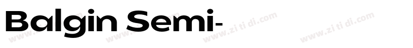 Balgin Semi字体转换 Balgin Semi字体转换